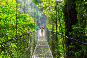 New Experiences Happiness